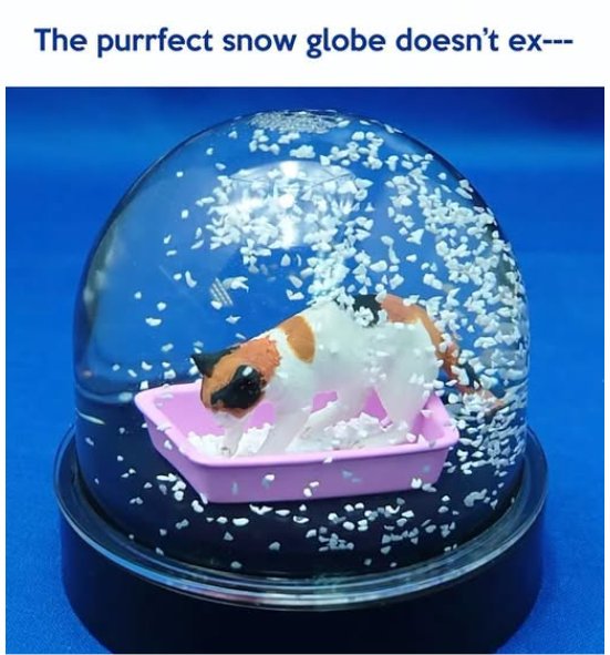 caturday globe majorgeeks.jpg